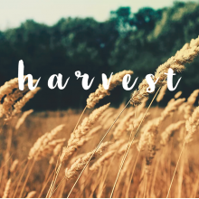 Harvest