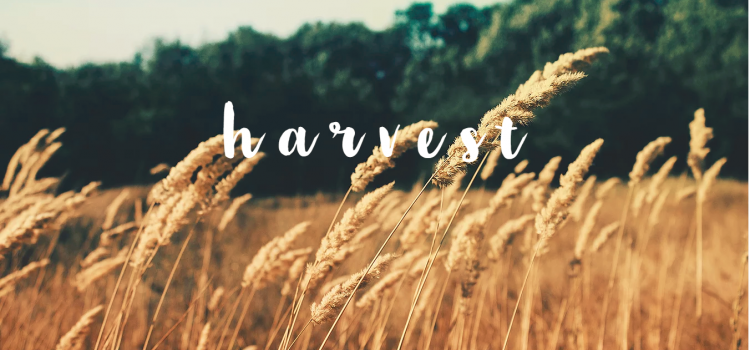 Harvest